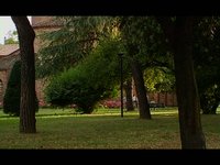 Oltre il giardino (versione integrale)