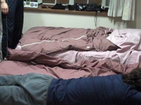 Bed rolling trials and championships