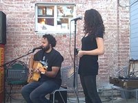 Vanessa Atalanta at Stinkweeds 11/08