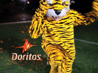 Mascot Collisions