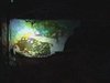 VJ Community Content