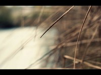 Autumn is Pretty (Canon 7D 24p)