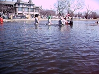Special Olympics Polar Plunge