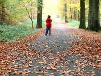 Journée d'automne