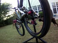 Hadley Racing Hubs - Freewheel Test