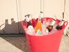 PLASTICA #5 - TUBTRUGS