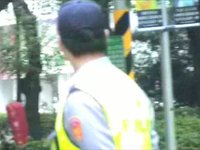 東京情色路超大貓