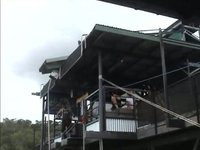 bungee