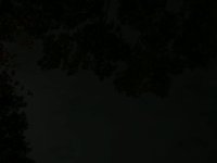 canon 7D timelapse night sky montage