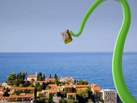 Octopus travel