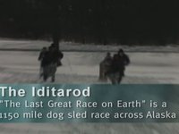 The Iditarod at North Park Schools