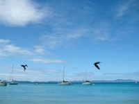 Jost Van Dyke, British Virgin Islands