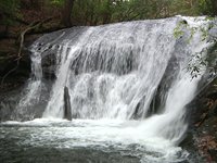 Montgomery Crk. Falls