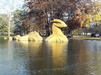 Communicating with the Ducks and Geese