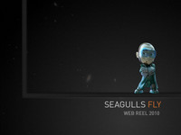 Web Reel 2010