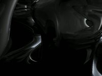 Orga 1