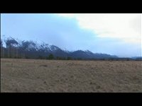 En busca del Huemul