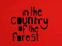 In the Country of the Forest