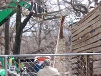 The first log comes down...
