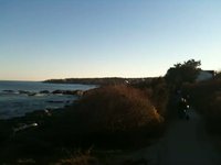 In Maine