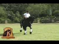 Pasión Equina TV