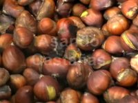 Asando castañas