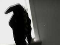 HALLUCINATION IN THE DARK