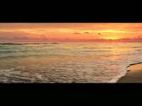 Sunset Smile