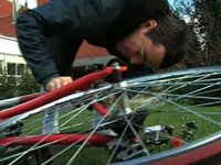 Bike Love