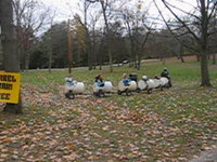 The barrel train