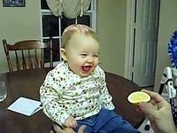 Babies Eating Lemons for the First Time