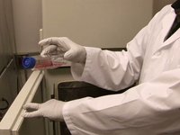 SoundSeen: "Cells Alone Don't Make a Heart"