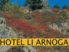 Autumn in Viola Valley-Personalized for Hotel Li Arnoga