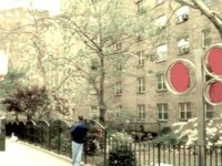 big apple tree