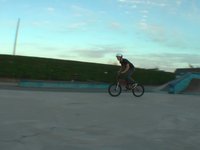alex tentative flair