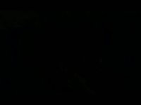 Crazy Kids Video