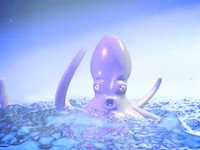 Octupus
