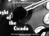 Night of the Cicada