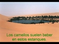 EL DESIERTO - NURIA Y MARINA GARCÍA