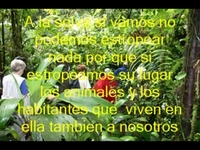 LA SELVA - MIGUEL Y ALEX