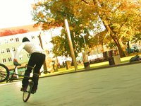 ride the fall