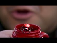 Reel 2009 version 2