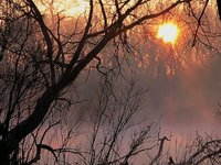 November Sunrise