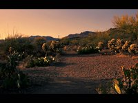 5D Mark II Graded