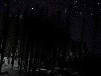 Night of the Dead