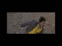 Wolf City High and Low