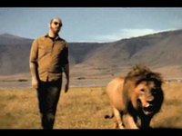 Lions PROWL