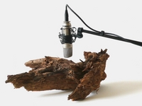 Zimoun : 25 woodworms, wood, microphone, sound system, 2009