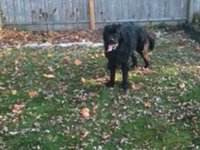 Clapton has a yard!