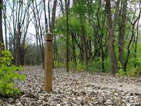 Disc Golf at Bandemer Park
